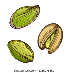 Pistachios. Vector illustration isolated on white background for packaging design, labels and much more.