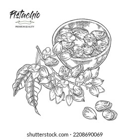 Pistachios in wooden bowl. Pistachio tree branch with leaves and nuts. Vector illustration. Hand drawn sketch style.