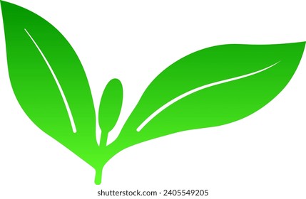 Pistil of Plant Vector Illustration