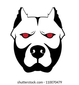 Pit bull
