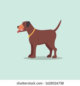 Pit bull brown dogs vector.Flat cartoon puppy isolated background