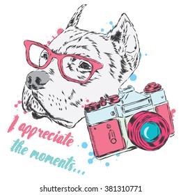 Pit bull with a camera. Dog vector. Hipster. Photographer.