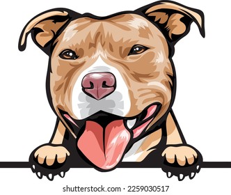 Pit Bull Color Peeking Dogs. Color image of a dogs head isolated on a white background. Dog portrait, Vector illustration