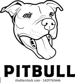 Pit Bull  Dog  Illustration Design 