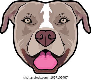 Pit Bull Dog Vector portrait 