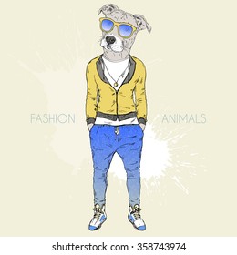 Pit Bull Doggy Boy Dressed Urban Stock Vector (royalty Free) 358743974