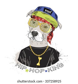 pit bull dressed up in hip hop style, furry art illustration