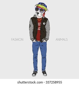 pit bull dressed up in hip hop style, furry art illustration