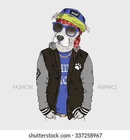 pit bull dressed up in hip hop style, furry art illustration