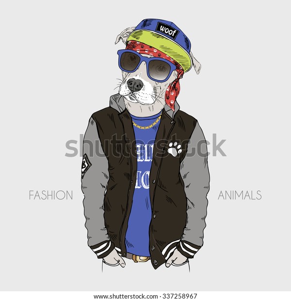 Pit Bull Dressed Hip Hop Style Stock Vector (Royalty Free) 337258967