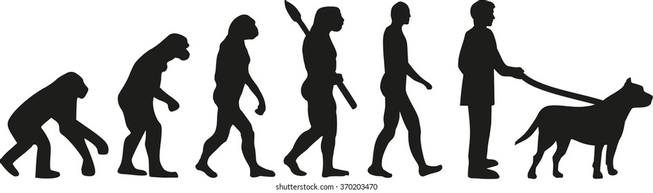 Pit bull evolution