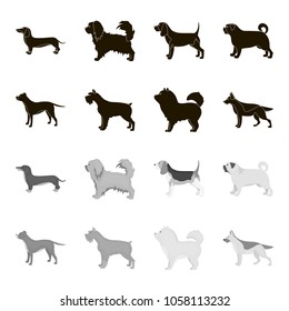 Pit bull, german shepherd, chow chow, schnauzer. Dog breeds set collection icons in black,monochrome style vector symbol stock illustration web.