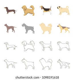 Pit bull, german shepherd, chow chow, schnauzer. Dog breeds set collection icons in cartoon,outline style vector symbol stock illustration web.