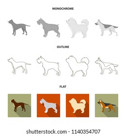 Pit bull, german shepherd, chow chow, schnauzer. Dog breeds set collection icons in flat,outline,monochrome style vector symbol stock illustration web.