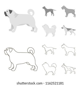 Pit bull, german shepherd, chow chow, schnauzer. Dog breeds set collection icons in outline,monochrome style vector symbol stock illustration web.
