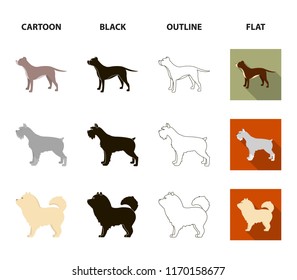 Pit bull, german shepherd, chow chow, schnauzer. Dog breeds set collection icons in cartoon,black,outline,flat style vector symbol stock illustration web.