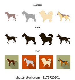 Pit bull, german shepherd, chow chow, schnauzer. Dog breeds set collection icons in cartoon,black,flat style vector symbol stock illustration web.