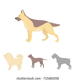 Pit bull, german shepherd, chow chow, schnauzer. Dog breeds set collection icons in cartoon style vector symbol stock illustration web.