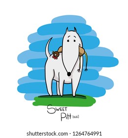 pit bull hand draw character vector