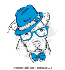 Pit bull in a hat and tie. Dog vector. Vector illustration for greeting card, poster, or print on clothes.
