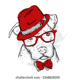 Pit bull in a hat and tie. Dog vector. Vector illustration for greeting card, poster, or print on clothes.
