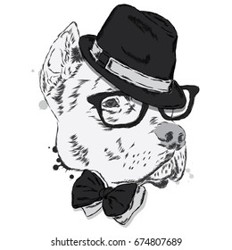 Pit bull in a hat and tie. Dog vector. Vector illustration for greeting card, poster, or print on clothes.