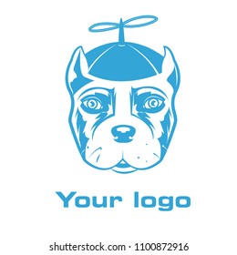 Pit bull in the spinnet hat. Contour logo of dog. Portrait of a pit bull.