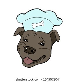 Pit bull Terrier in a chef's cap. Vector illustration. Vector logo pure-bred