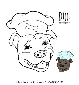 Pit bull Terrier in a chef's cap. Coloring book page. Vector illustration. Vector logo pure-bred.