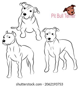 Pit Bull terrier dog doodle. Collection in different poses in free hand drawn illustration style.