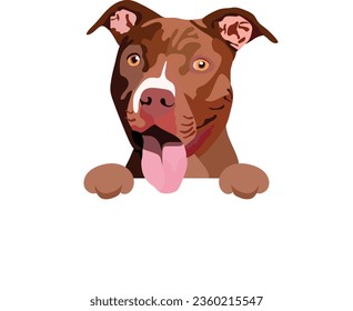 Pit Bull Terrier dog head with paws. Dog peeking out from the wall. Funny mascot with pittie Drawing. Cartoon style. Popular character. Sketch, canine graphic. Lovely smiling pooch, an isolated design