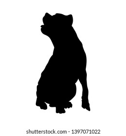 Pit Bull Terrier Dog Silhouette. Smooth Vector Illustration.