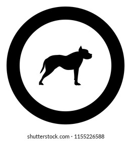 Pit bull terrier icon black color in round circle