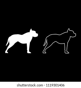 Pit bull terrier icon outline set white color