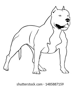 Pit bull terrier vector illustration.