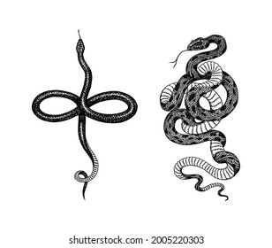 Pit viper. Crotaline snake or pit adders. Eastern racer or Coluber constrictor. Venomous Reptilia illustration. Engraved hand drawn in old sketch, vintage style for sticker and tattoo.