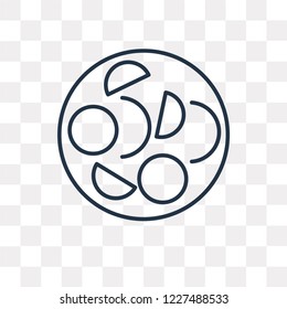 Pita Bread vector outline icon isolated on transparent background, high quality linear Pita Bread transparency concept can be used web and mobile