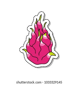 pitahaya (dragon fruit) doodle icon