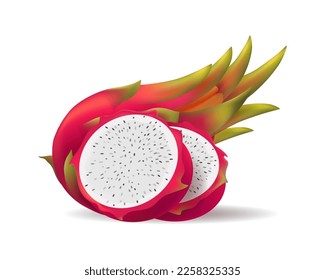 Pitahaya dragonfruit isolated. Pink vietnam dragons fruits whole and slices closeup vector illustration, tropical dragon cactus pitaya asian thailand sweet appetizer dessert