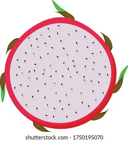 Pitahaya icon. Vector pitahaya fruit for web design on a white background