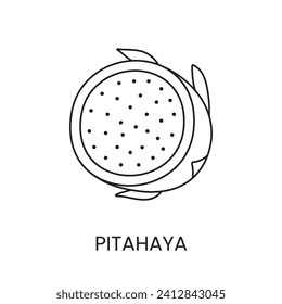 Pitahaya line icon in vector, dragon fruit illustration