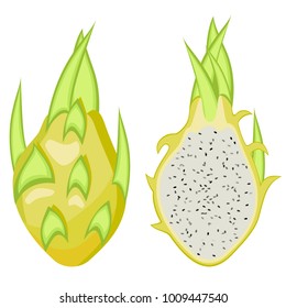 Pitahaya yellow, Dragon fruit vector Illustration.