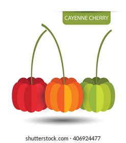 Pintura Pitanga de cereza, ilustración de vectores de frutas