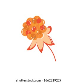 dibujo vectorial de tipo llano de frutas exóticas