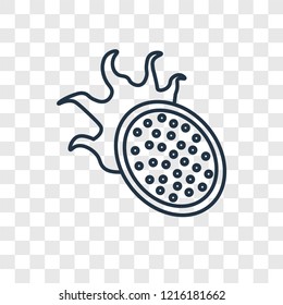 Pitaya concept vector linear icon isolated on transparent background, Pitaya concept transparency concept in outline style