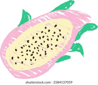 Pitaya Crayon Pencil Art Vector Illustration