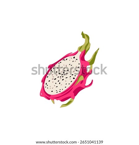 Pitaya cross section, half of ripe exotic asian dragon fruit. Flat vector cartoon illustration isolated on white background.
