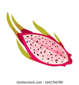 Pitaya or Dragon Fruit Cut Section Covered with Leathery Leafy Skin Vector Illustration
