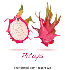 Pitaya or Dragon Fruit isolated against white background. Vector