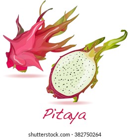 Pitaya or Dragon Fruit isolated against white background. Vector